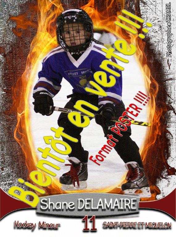 Poster AFFICHE Shane DELAMAIRE